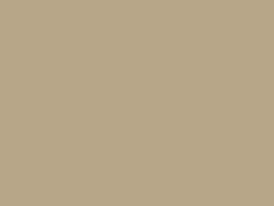 Color Swatch - Brownstone